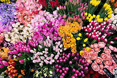 致敬8位机恶魔城新作《西蒙探险记》明年发售